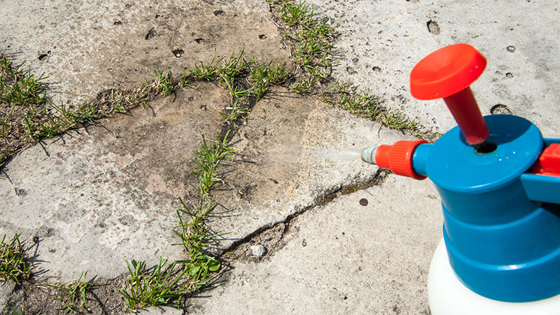 Glyfosaat voorzorgsbeginsel